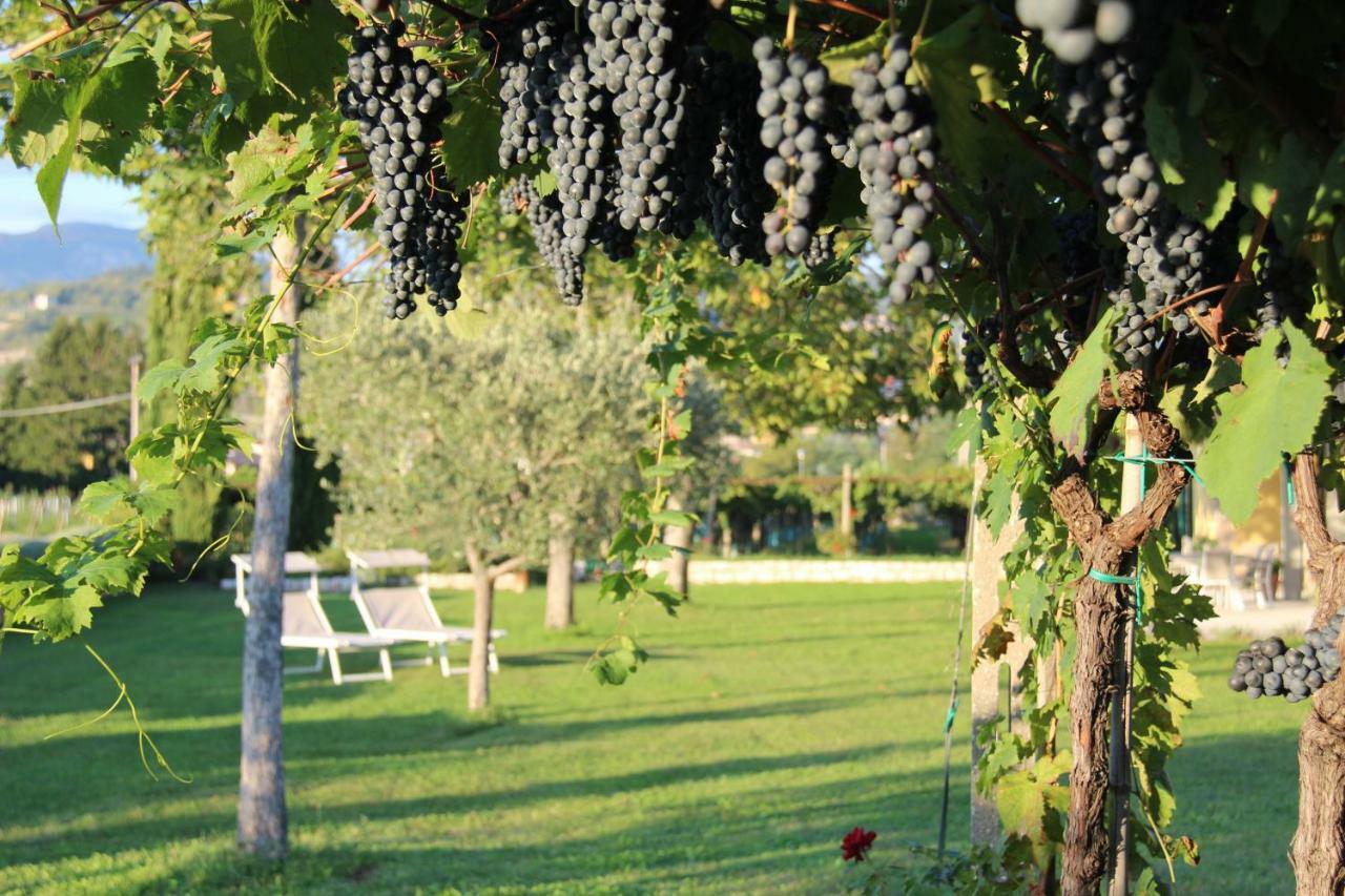 Campagnon Valpolicella Alojamento de Acomodação e Pequeno-almoço SantʼAmbrogio di Valpolicella