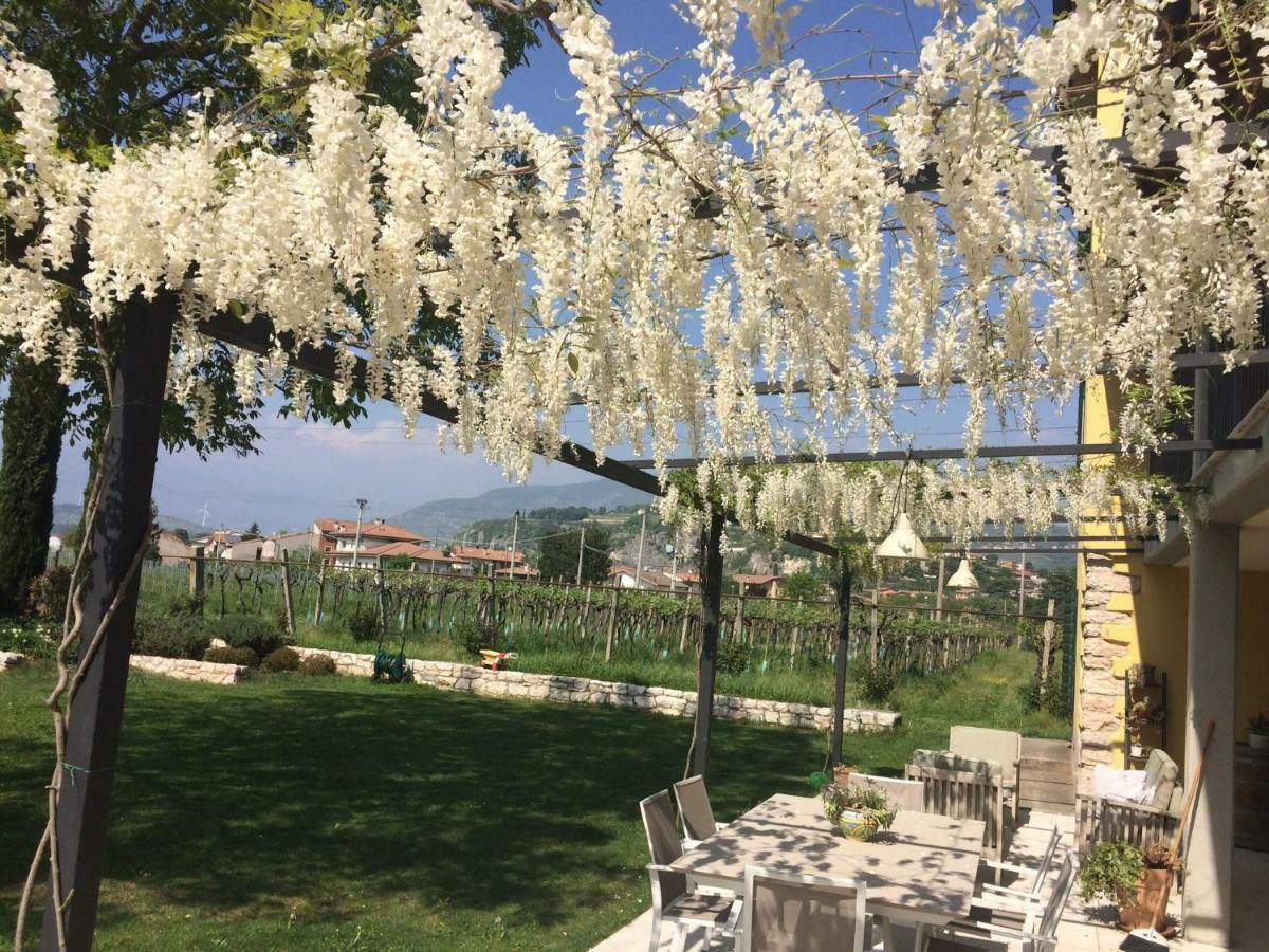 Campagnon Valpolicella * SantʼAmbrogio di Valpolicella