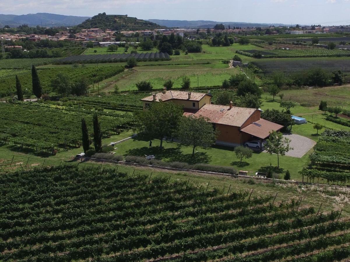 Campagnon Valpolicella * SantʼAmbrogio di Valpolicella